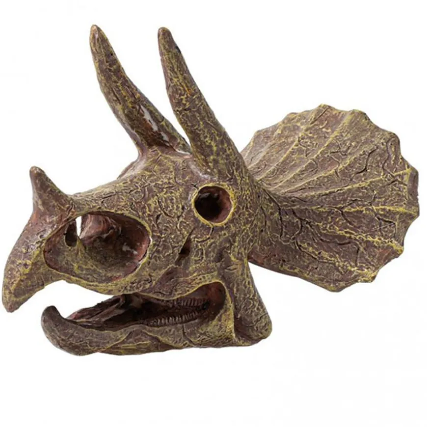 Buki Uitgraafset Dinosaurusschedel Triceratops