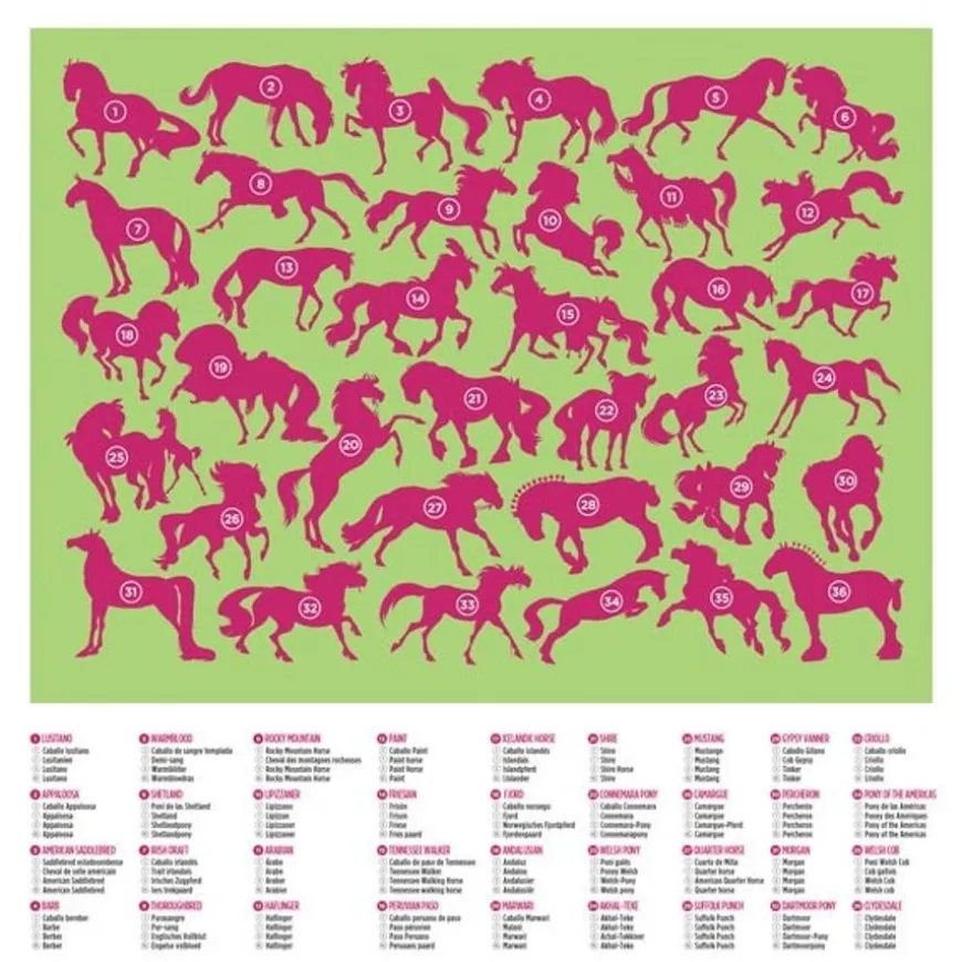 Crocodile Creek Puzzel 36 Paarden 100St