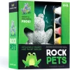 Crocodile Creek Rock Pets Stenen Schilderen Frog