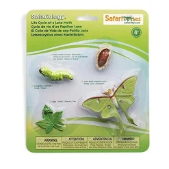 Levenscyclus Van Een Maanvlinder Safari Ltd