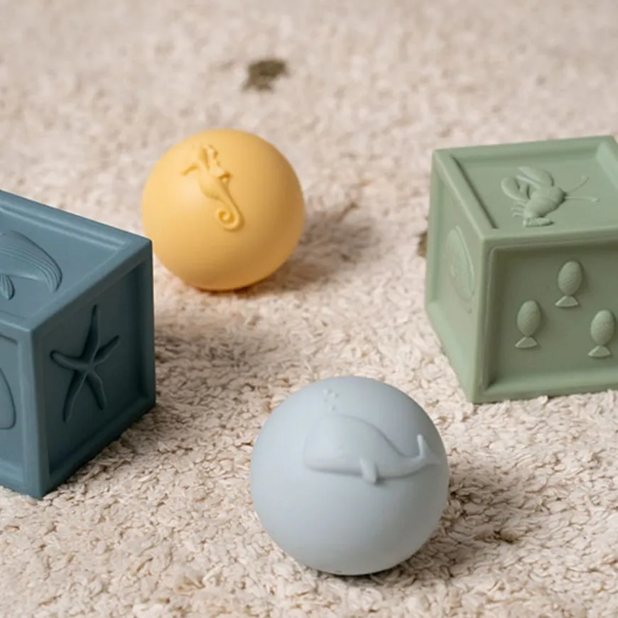 Little Dutch Ocean Blokken / Ballen Set