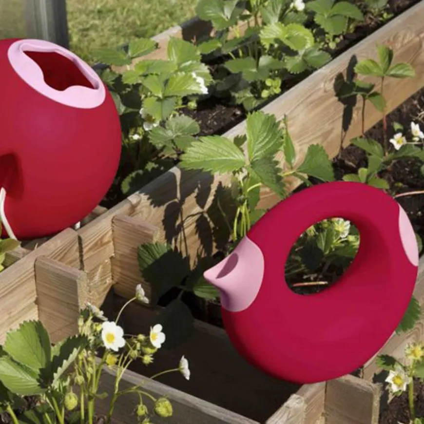 Quut Cana Large Cherry Gieter 1L
