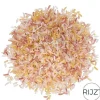 Rijzt Speelrijst 500 Gr - Bohemian